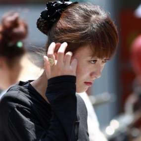 七月采风季 之大结局    保定行（古莲花池）