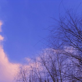 冬游渭河，随走随拍