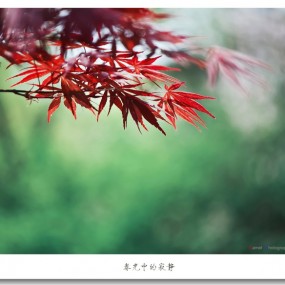 《春光中的寂静》