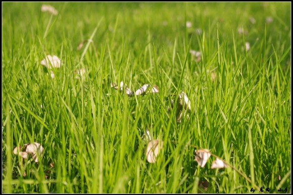 新人报道，发点存图，还望大家多多指教！