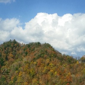 〖印象·秦岭……〗——黑河之美、秦岭之最…手机摄影