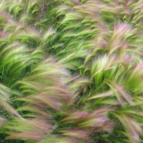 2012国家地理摄影大赛优秀作品