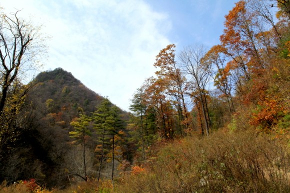 老袁习作（19）