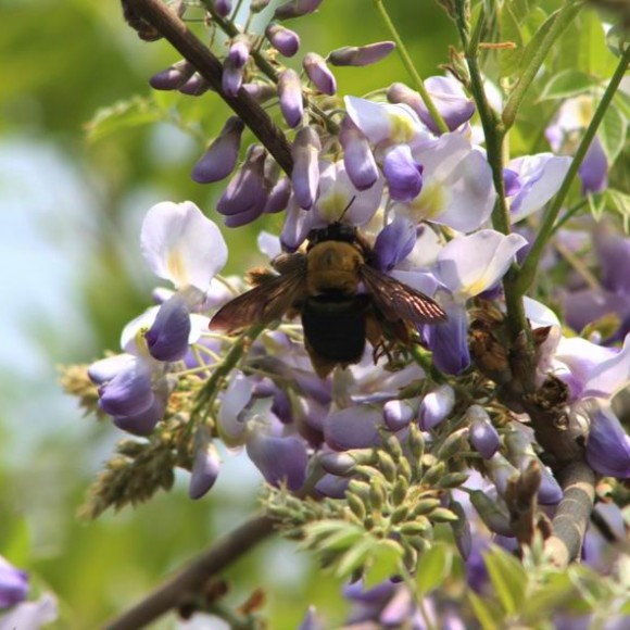 第一次上片，欢迎指导