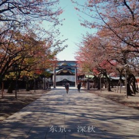 东京。深秋