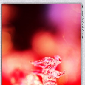 提前祝大家龙年大吉