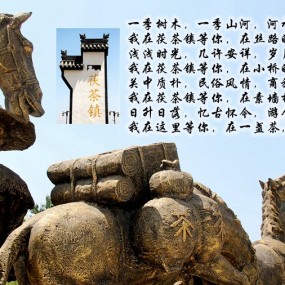 【我在茯茶镇等你】活动实录