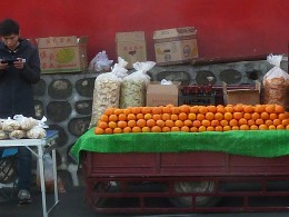 千年银杏叶正黄