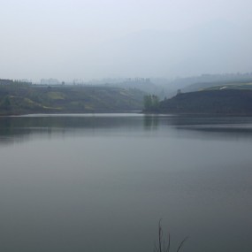 凤翔沟里菜花黄