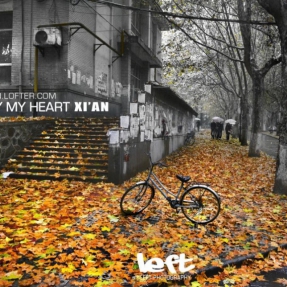 【忒色长安·我的城市我的心】之“交大秋”