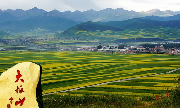 七月青海大坂山