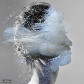 这两组我想不他归为一类~~