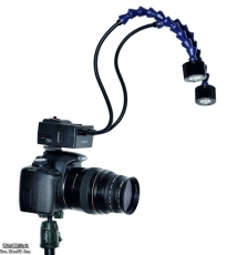 低成本拍微距昆虫