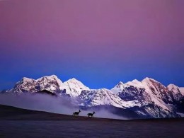 看看人家的构图，这才叫摄影，跪拜了！