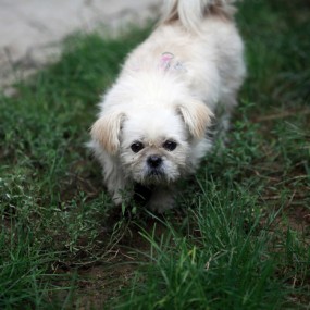 今早七八点出去溜达拍了几张人文环境之类的