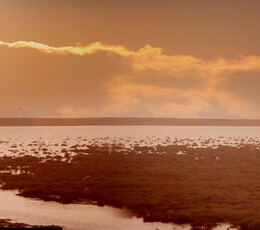 渔港人像-MM曼曼