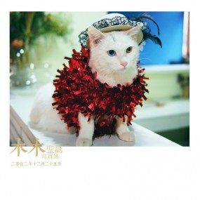 [木木の圣诞写真集]