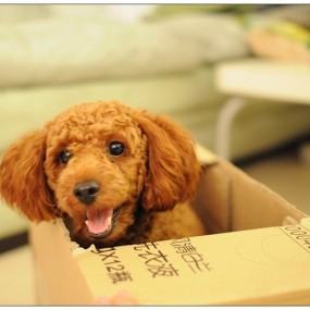 我的地盘我作主