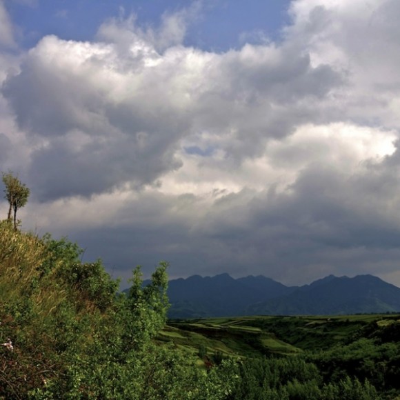 秦岭原野风光（五）