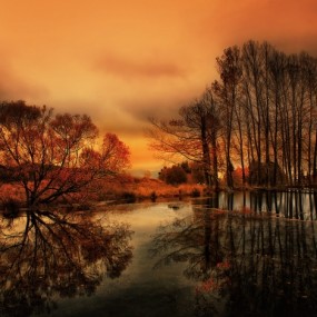 美轮美奂：Albena Markova精品赏析（五）