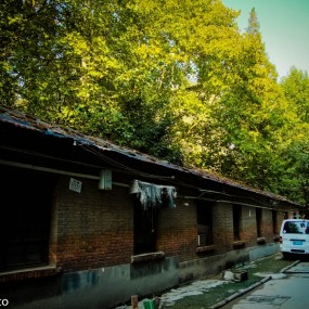 秋·痕_生活写真馆