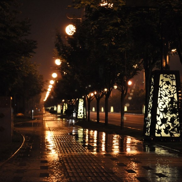 夜幕下的曲江公园