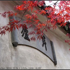 苏州游记—小园僻巷中