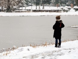 银装素裹 分外妖娆