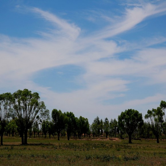 ——榆林风光——