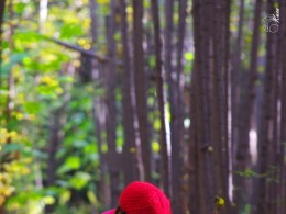 金秋杜陵小可爱