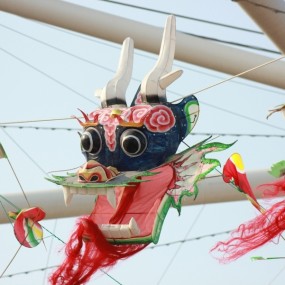 世园会参赛照片---龙