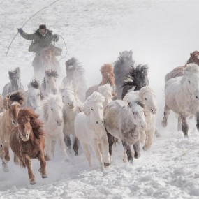 影途社组织去坝上摄影，跟随影途社一起去坝上