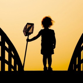 2010国家地理摄影竞赛优秀作品【2】