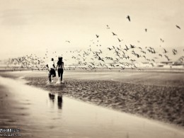 Leigh Taylor　最浪漫的事