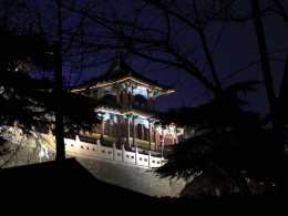 南京玄武湖夜景