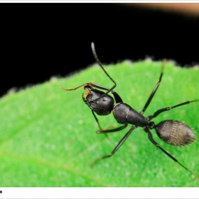 久违了的微距-XPRO