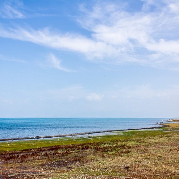 青海湖