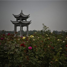 用镜头记录贾平凹的故乡之棣花古镇