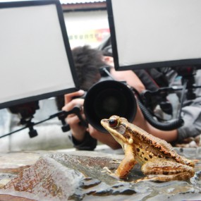 官山·观山，我们用自己的视角呈现自然之美，我们继续着生态摄影旅行