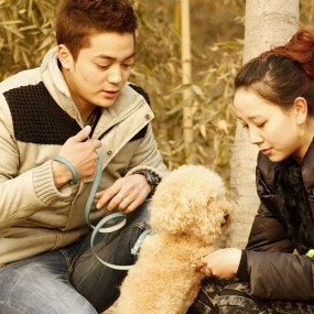 冬日暖阳下的那对情侣