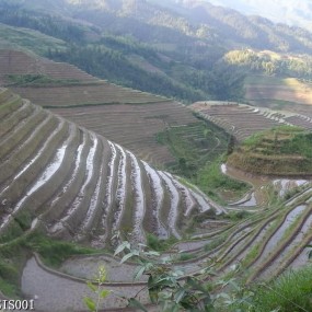 看起来很美的梯田