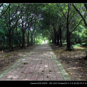 出差深圳归来 之3------ 笔架山公园