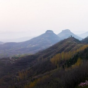 崮乡桃花盛开时