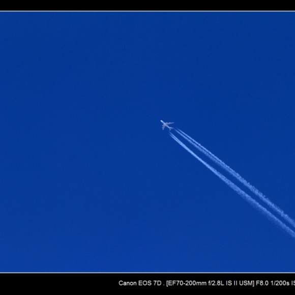 深秋，尽在按下快门的那一时刻