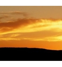 落日的黄金草原