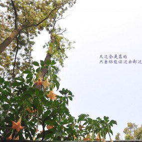 姚鱼'天涯海角  & 后续报导