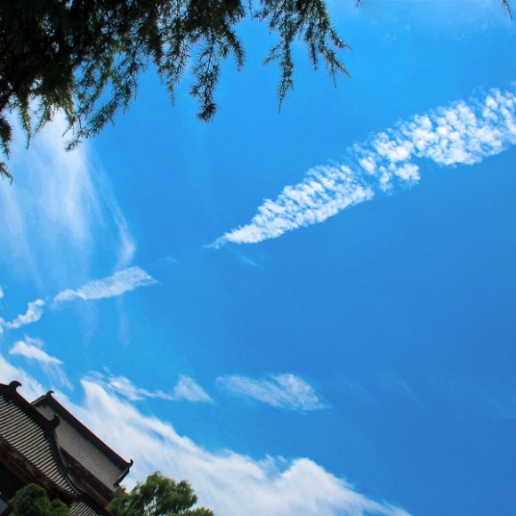 9月2日兴庆宫小游