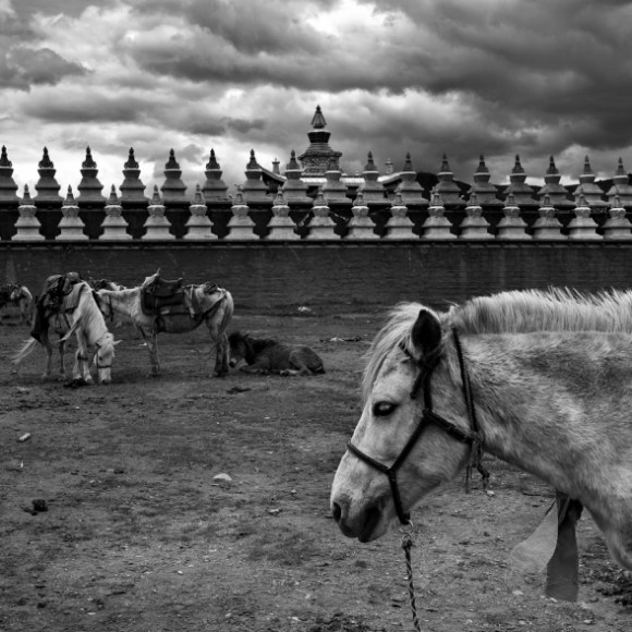 几张风光（不断更新）