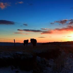 2012坝上的第一场雪