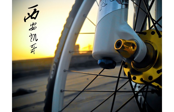 手机随拍了几张。夕阳真美，白龙马真威风